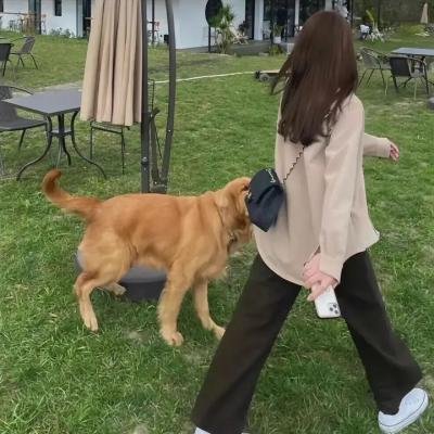 《女麻吉》海报