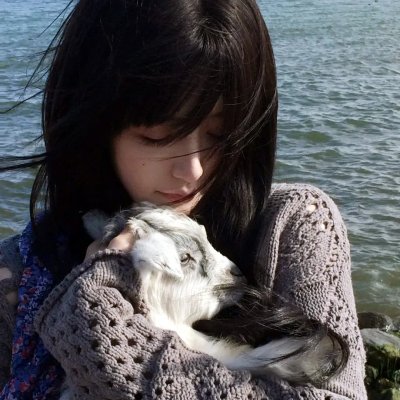 《铁丝中的风》海报
